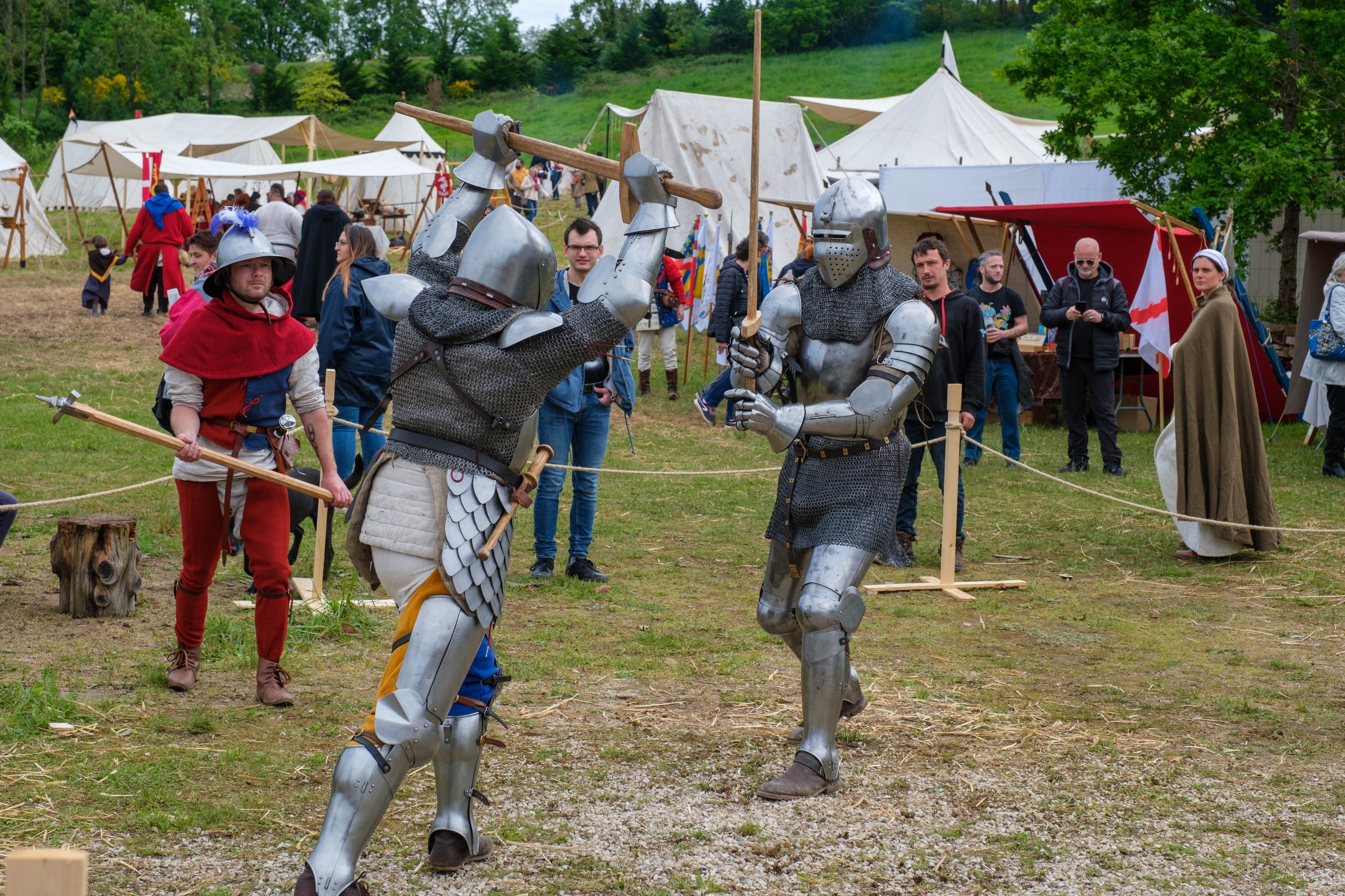 Démonstration par le Cercle d'armes du Dauphiné